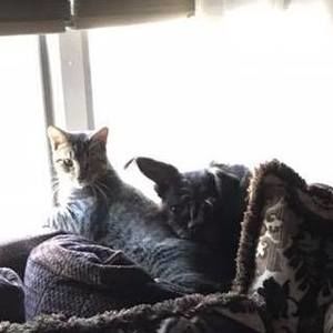 Meet your Posher, Marissa